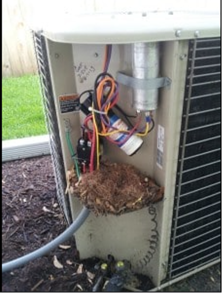 Rodent Nest inside HVAC Electronic Controls