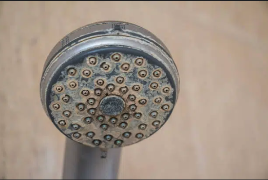 Shower Head Clogged By Mineral Deposits in Water System