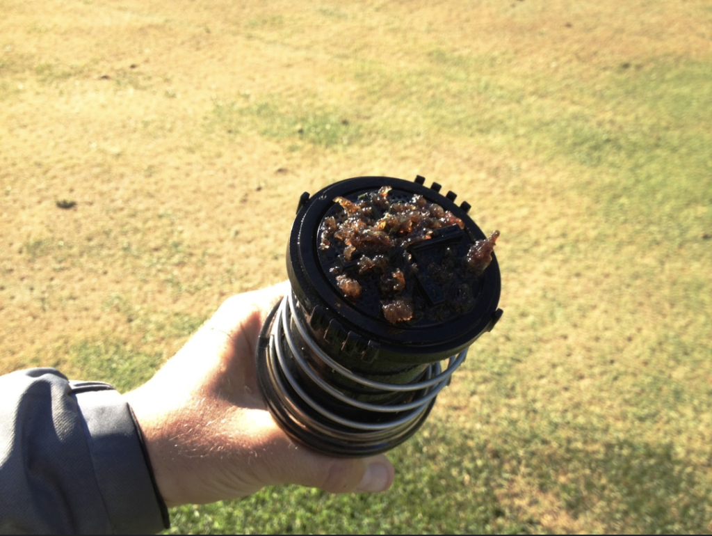 Clogged Sprinkler Head