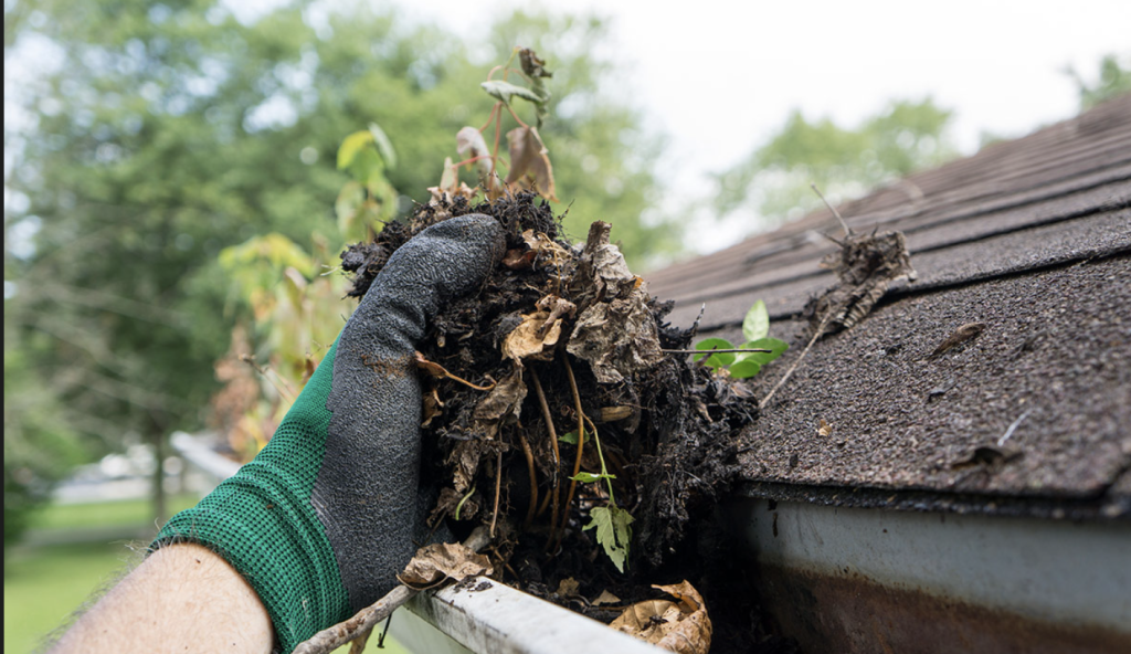 Clogged Gutter With Debris 